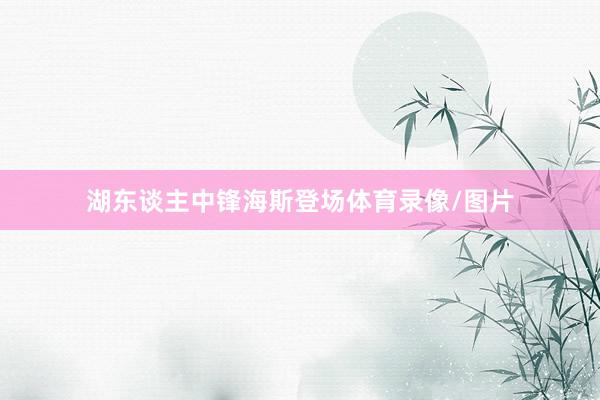 湖东谈主中锋海斯登场体育录像/图片