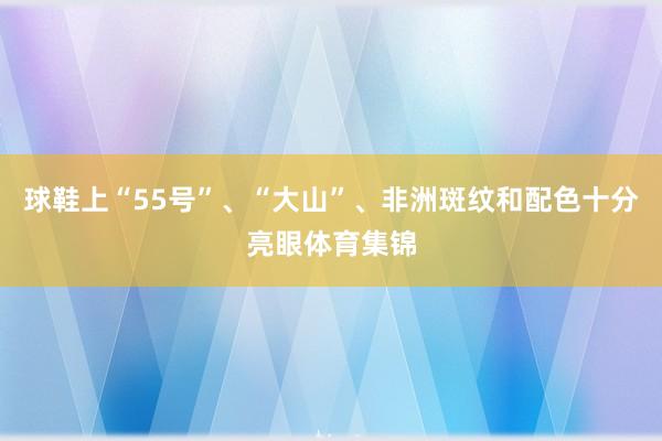 球鞋上“55号”、“大山”、非洲斑纹和配色十分亮眼体育集锦