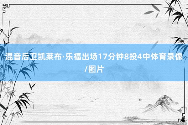 混音后卫凯莱布·乐福出场17分钟8投4中体育录像/图片