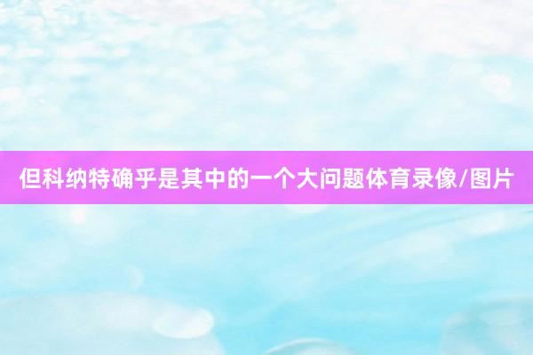 但科纳特确乎是其中的一个大问题体育录像/图片