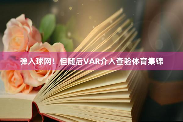 弹入球网！但随后VAR介入查验体育集锦