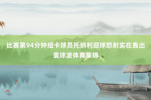 比赛第94分钟纽卡球员托纳利迎球怒射实在轰出寰球波体育集锦