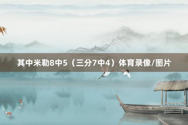 其中米勒8中5（三分7中4）体育录像/图片