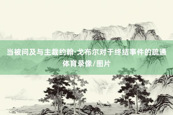 当被问及与主裁约翰·戈布尔对于终结事件的疏通体育录像/图片