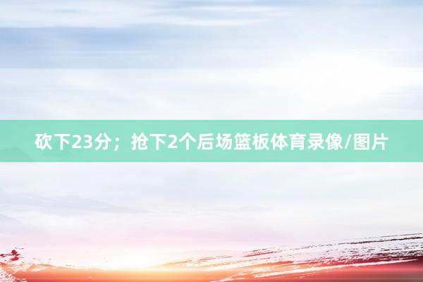 砍下23分；抢下2个后场篮板体育录像/图片