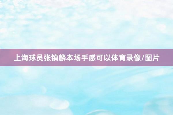 上海球员张镇麟本场手感可以体育录像/图片