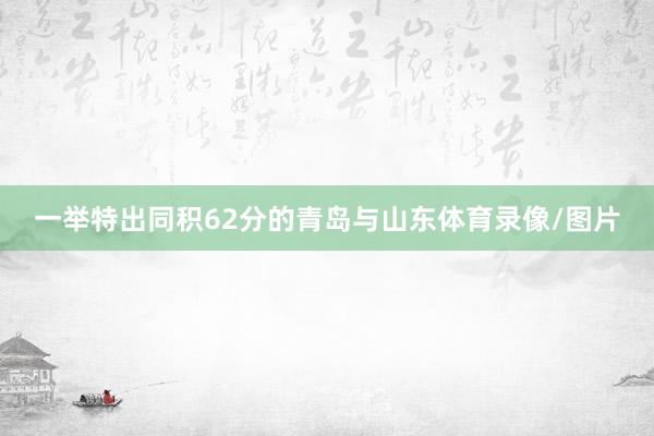 一举特出同积62分的青岛与山东体育录像/图片