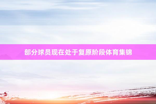 部分球员现在处于复原阶段体育集锦