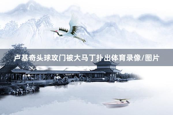 卢基奇头球攻门被大马丁扑出体育录像/图片