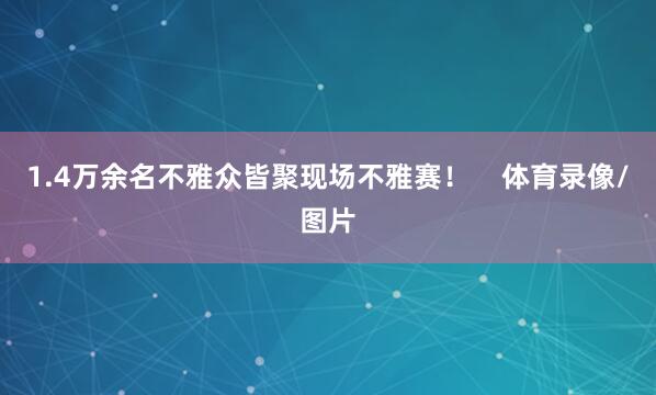 1.4万余名不雅众皆聚现场不雅赛！    体育录像/图片