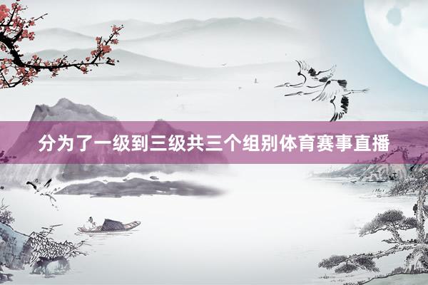 分为了一级到三级共三个组别体育赛事直播