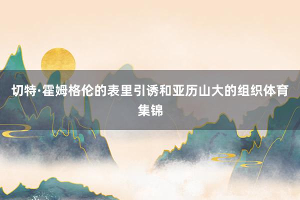 切特·霍姆格伦的表里引诱和亚历山大的组织体育集锦