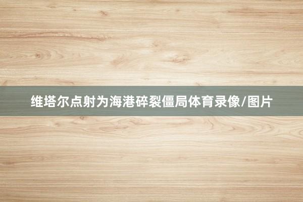 维塔尔点射为海港碎裂僵局体育录像/图片