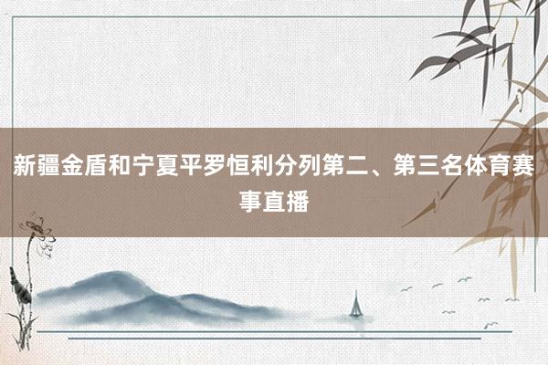 新疆金盾和宁夏平罗恒利分列第二、第三名体育赛事直播