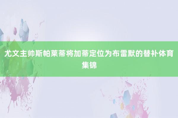 尤文主帅斯帕莱蒂将加蒂定位为布雷默的替补体育集锦