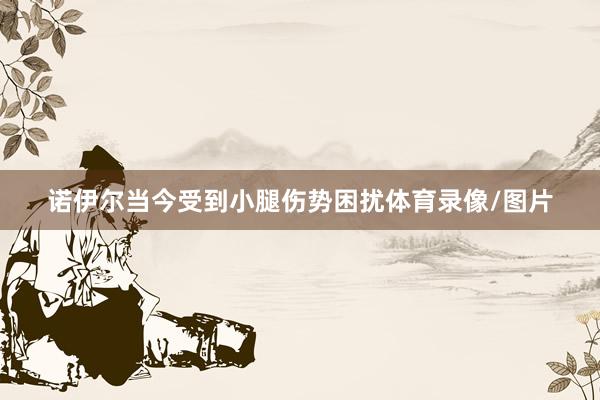 诺伊尔当今受到小腿伤势困扰体育录像/图片