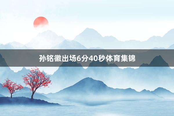 孙铭徽出场6分40秒体育集锦