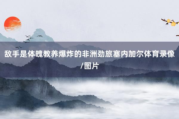 敌手是体魄教养爆炸的非洲劲旅塞内加尔体育录像/图片
