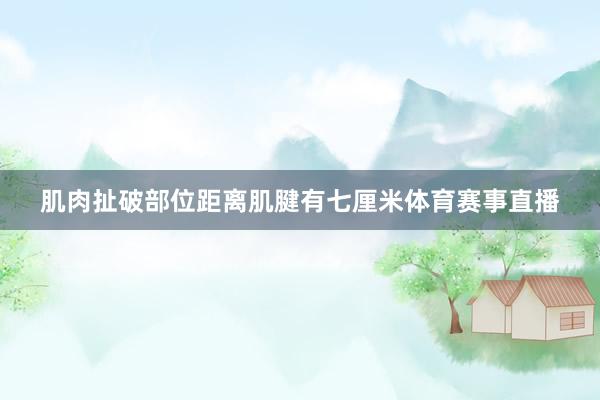 肌肉扯破部位距离肌腱有七厘米体育赛事直播