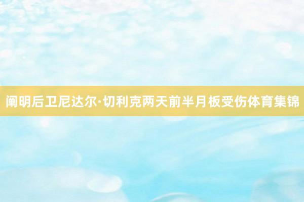阐明后卫尼达尔·切利克两天前半月板受伤体育集锦