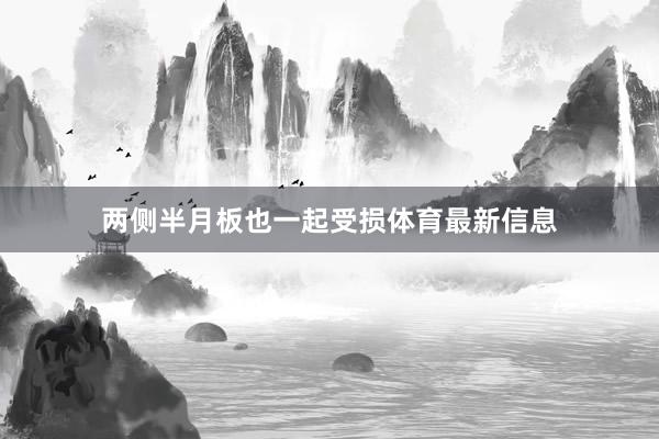两侧半月板也一起受损体育最新信息